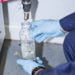 Bacterial Sample Analysis