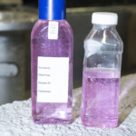 Bacterial Sample Analysis